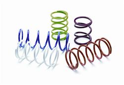 EPI Performance Primary Clutch Springs