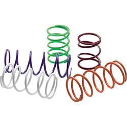 EPI Performance Primary Clutch Springs 53-2543
