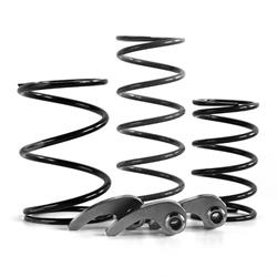 EPI Powersports Clutches, Kits and Assemblies WE437692