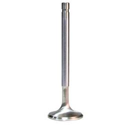 Engine Works Performance Series Valves 216161