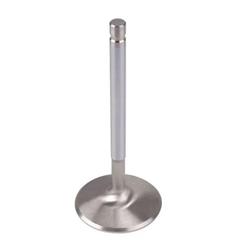 Engine Works LS Series Valves 218205P