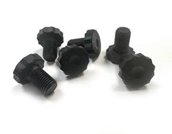 Engine Works Pro Series Flexplate Bolts 257022PRO