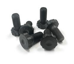 Engine Works Pro Series Flywheel Bolts 257026PRO