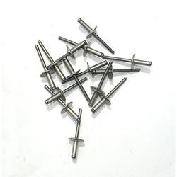 Engine Works Pop Rivets 36580