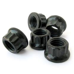 Engine Works 12-Point Flange Nuts 41481