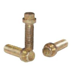 Engine Works Intake Manifold Bolts 41493