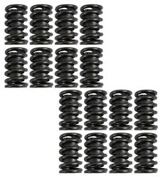 Engine Works Heavy-Duty Valve Springs 900-16