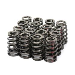 Engine Works Heavy-Duty Valve Springs 918-16