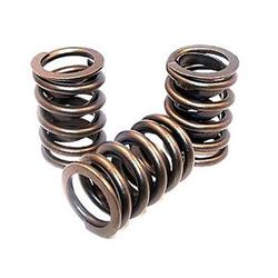 Engine Works Heavy-Duty Valve Springs 920-16