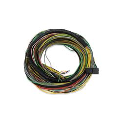 FuelTech Wiring Harnesses 2001001029
