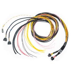 FuelTech FT700 C and D Unterminated Harnesses 2001008771
