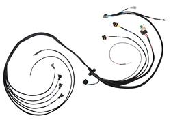 FuelTech FT550 4-Cylinder Universal B Expansion Harnesses 2002006600