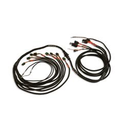 FuelTech Ignition Coil Wiring Harnesses 2002108803