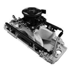 FiTech Ultra Port EFI BBC Systems 30-10-411