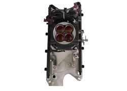 FiTech Fuel Injection Fuel Injection System Components 30201