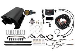 FiTech Fuel Injection Fuel Injection Systems 73095DBWBBNP