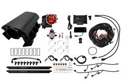 FiTech Fuel Injection Fuel Injection Systems 73095DBWNP