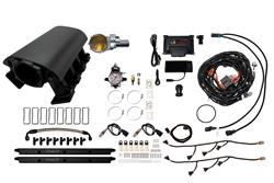 FiTech Fuel Injection Fuel Injection Systems 73095DBWSBNP