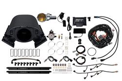 FiTech Fuel Injection Fuel Injection Systems 73174DBWSB