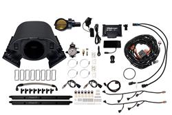 FiTech Fuel Injection Fuel Injection Systems 73175DBWBB
