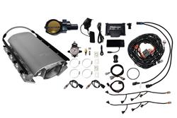 FiTech Fuel Injection Fuel Injection Systems 73192DBWBB