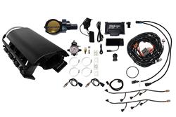 FiTech Fuel Injection Fuel Injection Systems 73231DBWBB