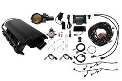 FiTech Fuel Injection Fuel Injection Systems 73232DBWBB