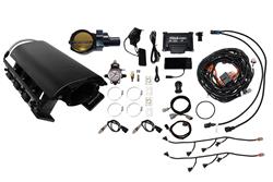 FiTech Fuel Injection Fuel Injection Systems 73234DBWBB