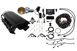 FiTech Fuel Injection Fuel Injection Systems 73234DBWSB