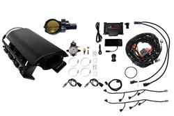 FiTech Fuel Injection Fuel Injection Systems 73235DBWBBNP