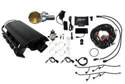 FiTech Fuel Injection Fuel Injection Systems 73235DBWSB