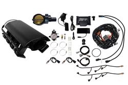 FiTech Fuel Injection Fuel Injection Systems 73236DBWBB