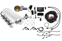 FiTech Fuel Injection Fuel Injection Systems 73251DBWSB