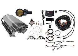 FiTech Fuel Injection Fuel Injection Systems 73276DBWNP