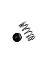 Fleece Performance Valve Spring and Retainer Kits