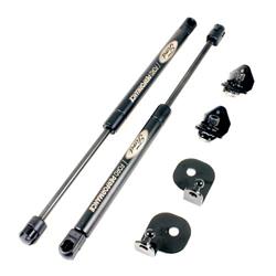 Ford Performance Parts Hood Lift Shocks