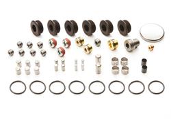 Ford Performance Parts Plug and Dowel Kits M-6026-ZBLOCK
