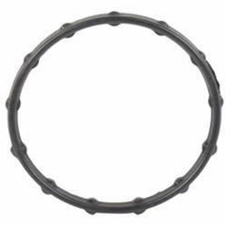 Ford Genuine Parts Water Neck Gaskets and O-Rings