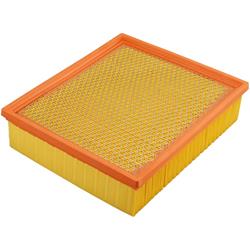 Fram Extra Guard Air Filters CA10253