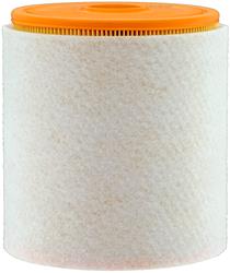 Fram Extra Guard Air Filters CA11070