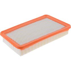 Fram Extra Guard Air Filters for 2015-2017 200 - CA11948