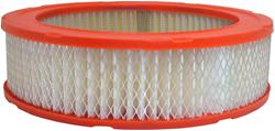 Fram Extra Guard Air Filters CA160