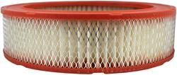 Fram Extra Guard Air Filters CA176
