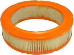 Fram Extra Guard Air Filters CA3159