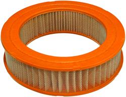 Fram Extra Guard Air Filters CA3187