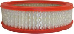 Fram Extra Guard Air Filters CA3647