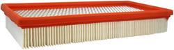 Fram Extra Guard Air Filters CA3660