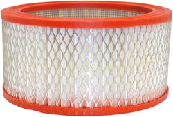 Fram Extra Guard Air Filters CA372