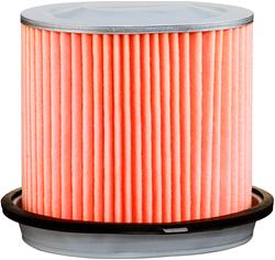 Fram Extra Guard Air Filters CA6362