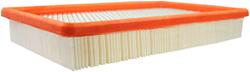 Fram Extra Guard Air Filters CA7598